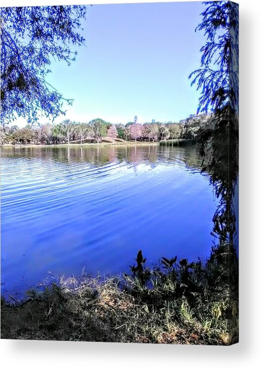 Seminole Lake Acrylic Print featuring the photograph Peace by Suzanne Berthier