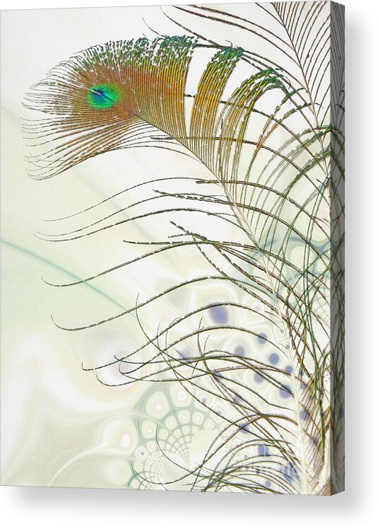 Feather Acrylic Print featuring the photograph Peacock Feather by Jan Piller