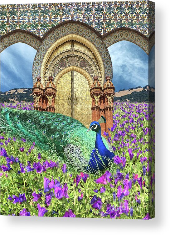Peacock Acrylic Print featuring the digital art Peacock Gate by Lucy Arnold