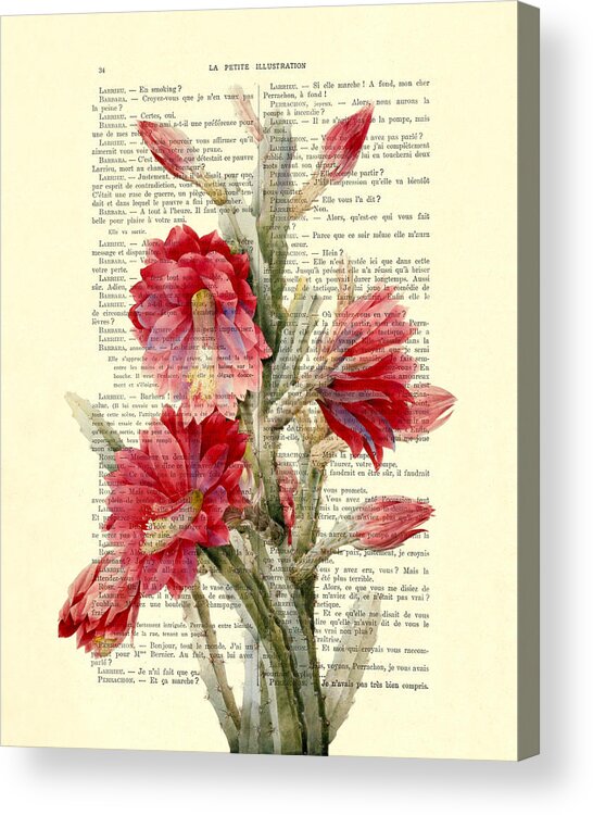 Cactus Acrylic Print featuring the digital art Cactus With Pink Red Flowers Vintage Book Page Collage by Madame Memento