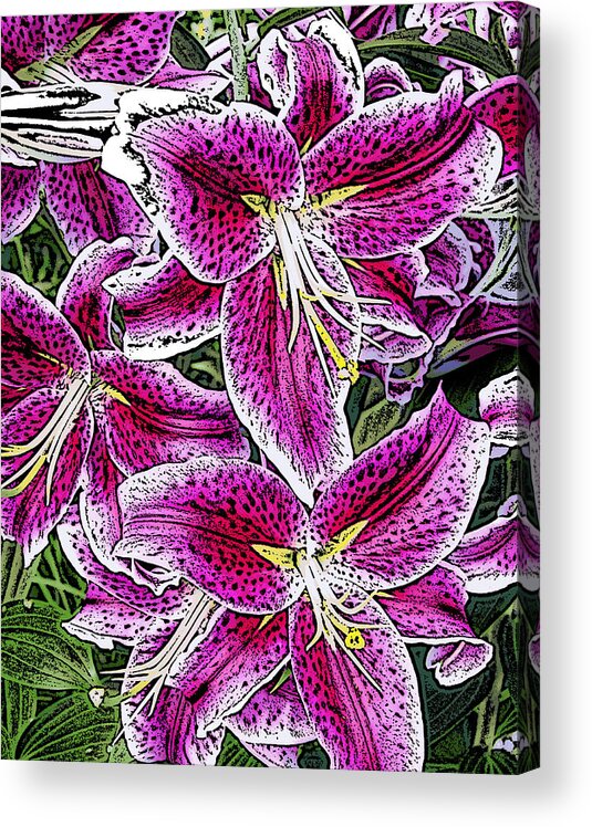 Nature Acrylic Print featuring the photograph Pink Lillies by Ann Tracy