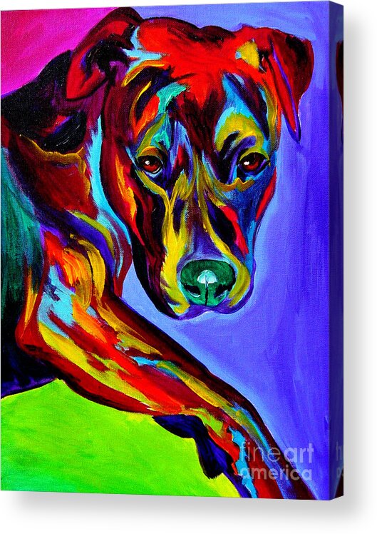 Dog Acrylic Print featuring the painting Pit Bull - Gaze by Dawg Painter