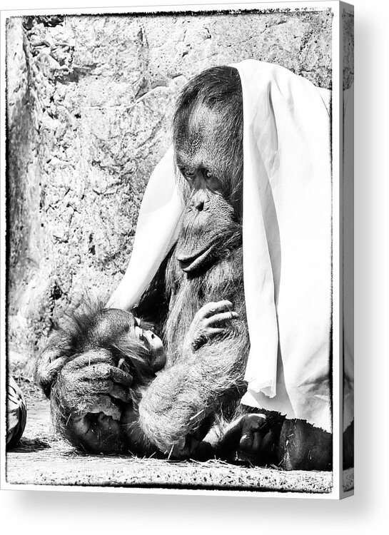 Crystal Yingling Acrylic Print featuring the photograph Playtime by Ghostwinds Photography