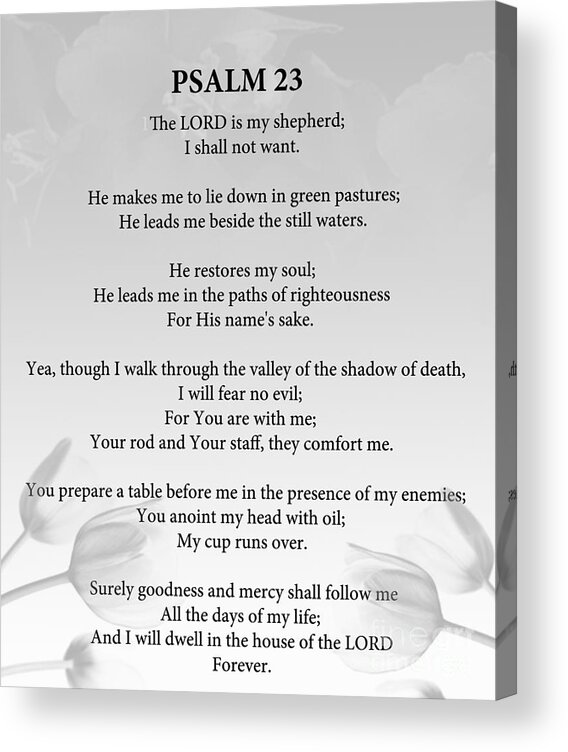 Psalm 23 Acrylic Print featuring the painting Psalm 23 by Trilby Cole