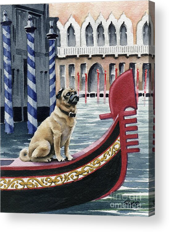 Pug Acrylic Print featuring the painting Pug in Venice by David Rogers