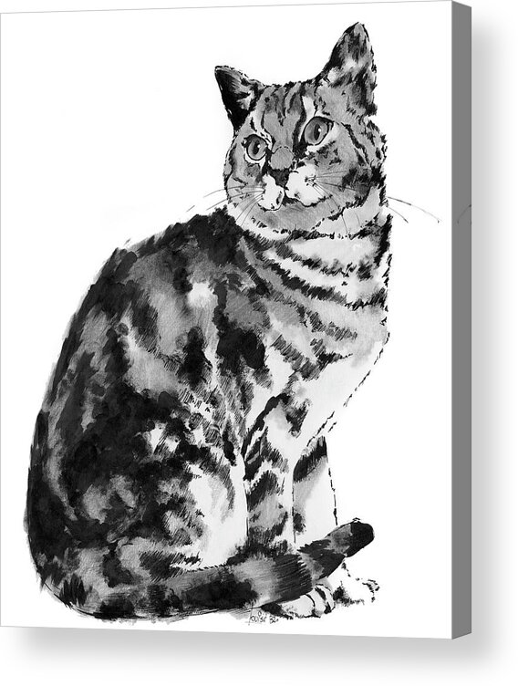 Cat Acrylic Print featuring the drawing Queen of the Castle by Louise Howarth