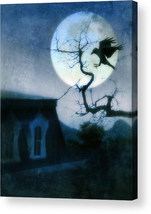 House Acrylic Print featuring the photograph Raven Landing on Branch in Moonlight by Jill Battaglia