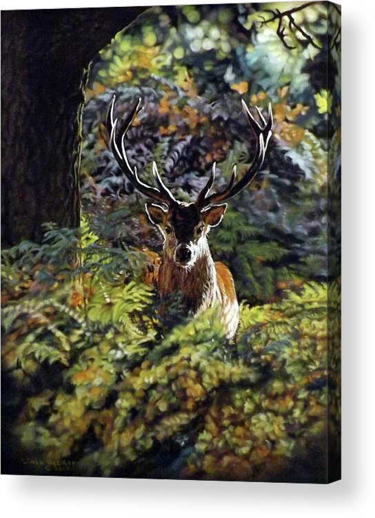 Red Deer Acrylic Print featuring the pastel Red Deer Stag by Linda Becker