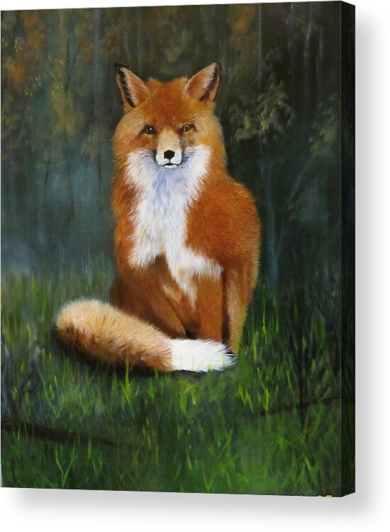 Fox. Renard. Roux Acrylic Print featuring the painting Red fox by Jean Yves Crispo