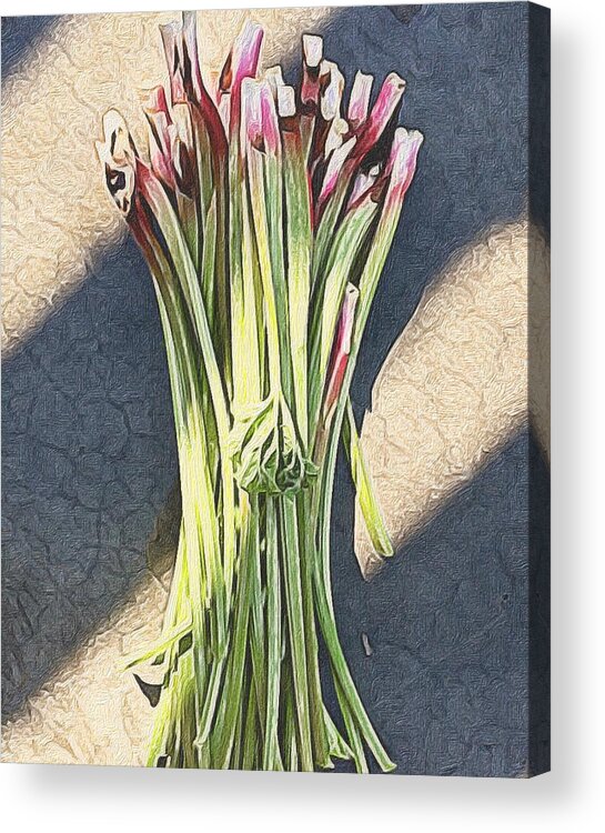 Still Life Acrylic Print featuring the photograph Rhubarb by Michele Meehl