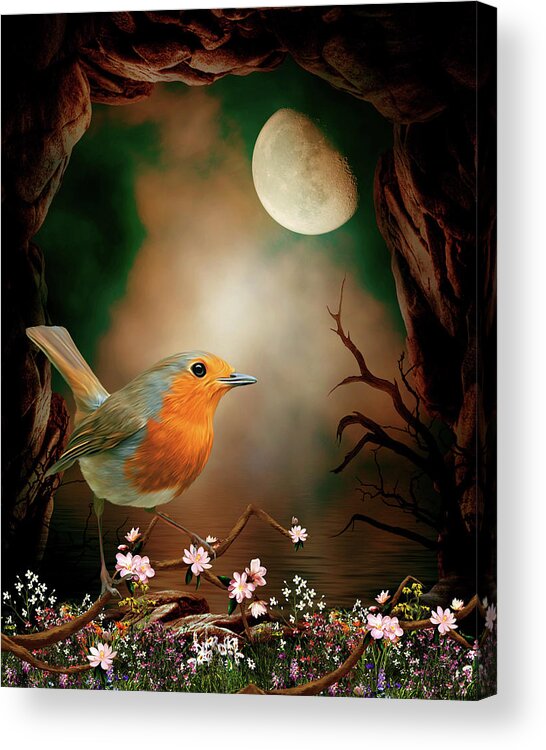 Robin In The Moonlight Acrylic Print featuring the digital art Robin in the moonlight by John Junek