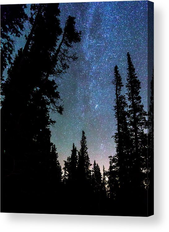 Stars Acrylic Print featuring the photograph Rocky Mountain Forest Night by James BO Insogna