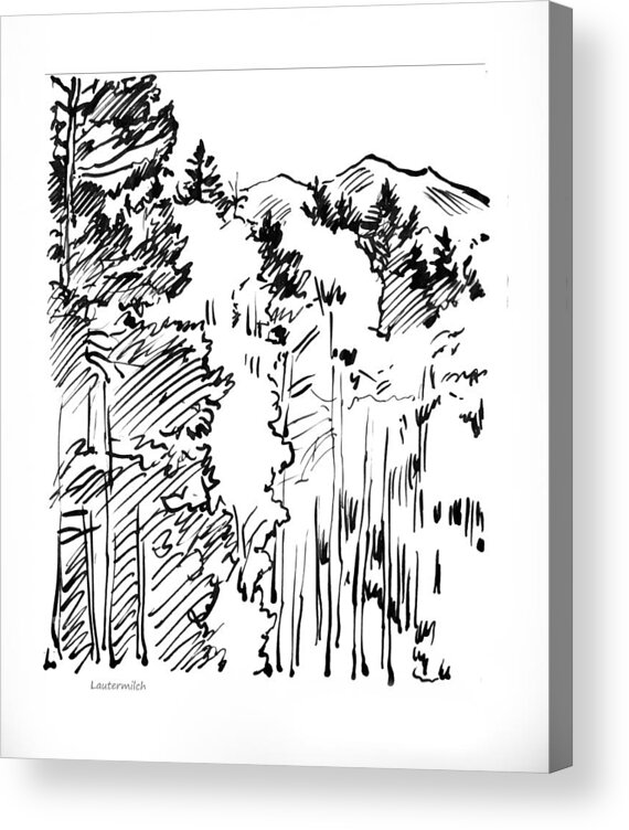 Ink Sketch Acrylic Print featuring the drawing Rocky Mountain Sketch by John Lautermilch