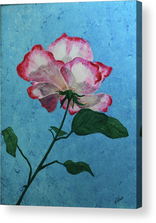 Flower Acrylic Print featuring the painting Rose on Blue by Nancy Sisco