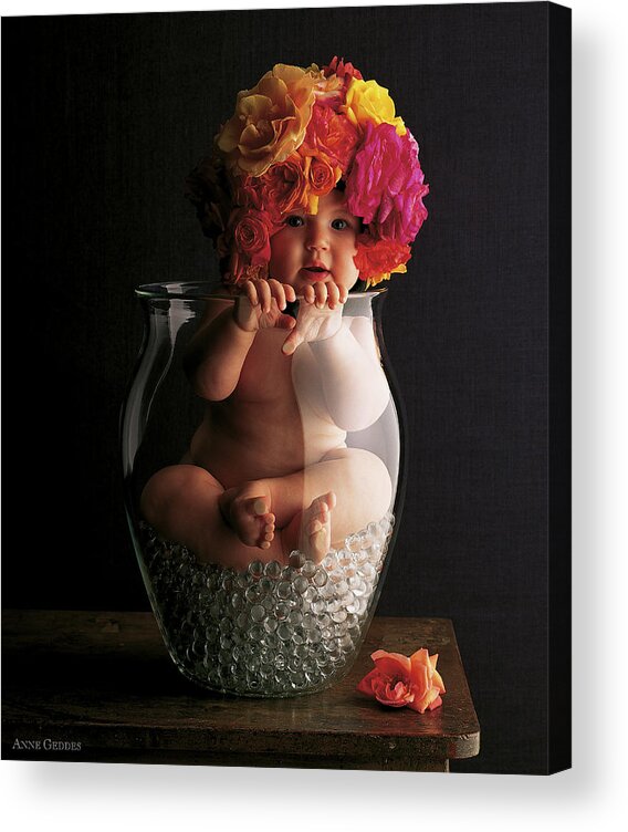 Rose Acrylic Print featuring the photograph Vase of Roses by Anne Geddes