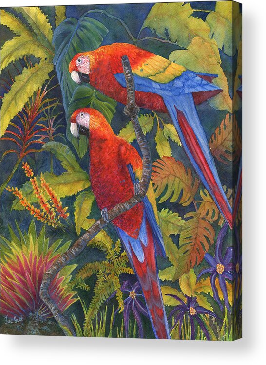 Birds Acrylic Print featuring the painting Scarlet Macaws by June Hunt