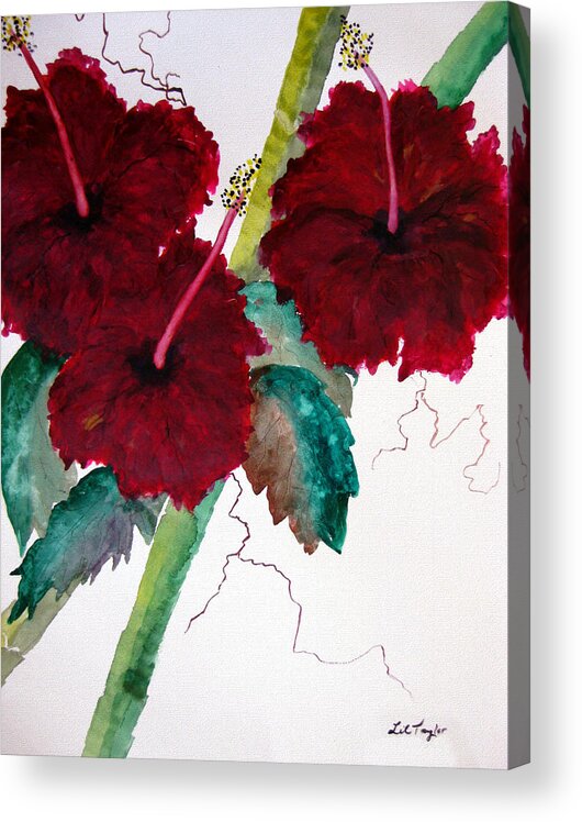 Hibiscus Acrylic Print featuring the painting Scarlet Red by Lil Taylor
