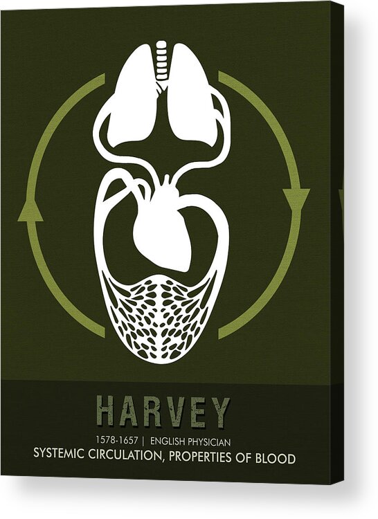 Harvey Acrylic Print featuring the mixed media Science Posters - William Harvey - Physician by Studio Grafiikka