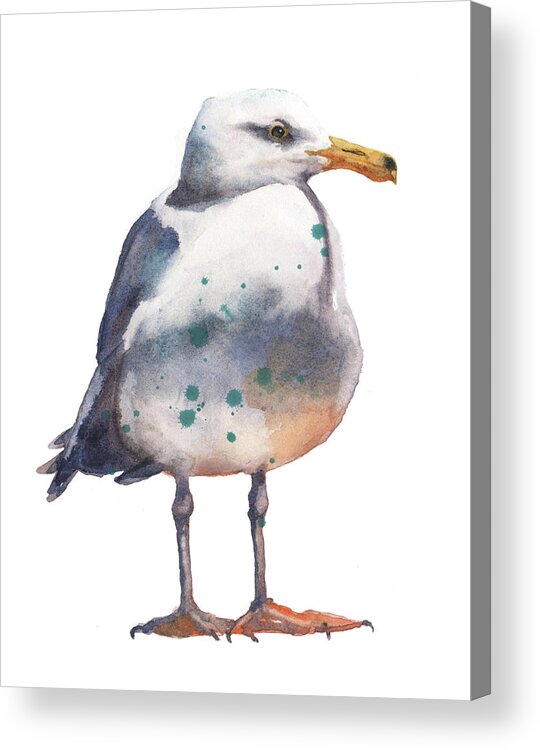 Seagull Acrylic Print featuring the painting Seagull Print by Alison Fennell