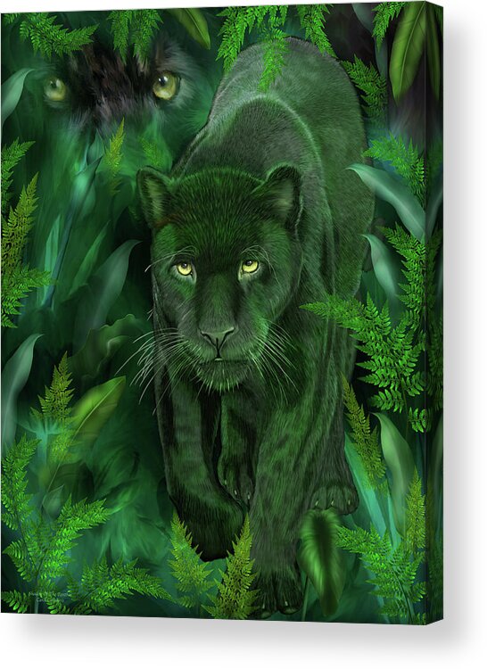 Carol Cavalaris Acrylic Print featuring the mixed media Shadow Of The Panther by Carol Cavalaris