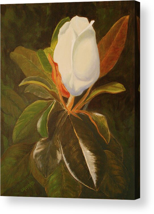 Leaf Acrylic Print featuring the painting Shining Magnolia by Sandy Murphree Jacobs