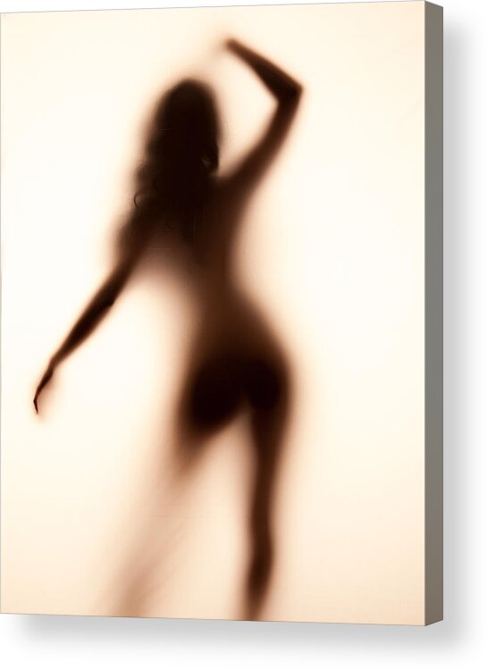 Silhouette Acrylic Print featuring the photograph Silhouette 117 by Michael Fryd