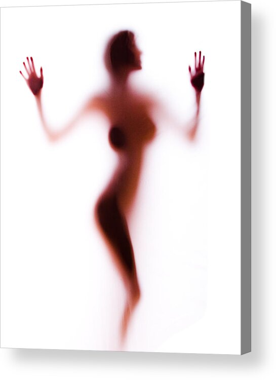 Silhouette Acrylic Print featuring the photograph Silhouette 14 by Michael Fryd