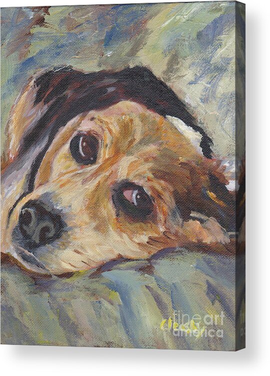 Beagle Acrylic Print featuring the painting simonClydemcflyMcCue by Patricia Cleasby
