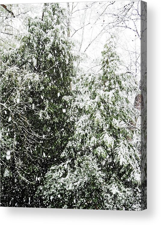Snow Acrylic Print featuring the photograph Snow Day 3 by Lizi Beard-Ward