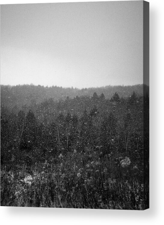 Pines Acrylic Print featuring the photograph Snow Pines by Stephen Russell Shilling