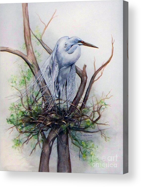 Snowy Egret Acrylic Print featuring the painting Snowy Egret on Nest by Laurie Tietjen