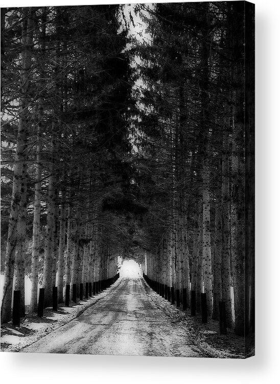 Snowy Trail To Winter Acrylic Print featuring the photograph SnowyTrail to Winter by Femina Photo Art By Maggie