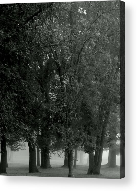 Mist Acrylic Print featuring the photograph So Quiet In Here by Wild Thing