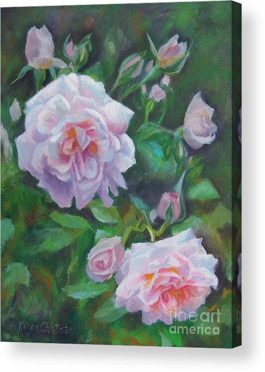 Soft Pink Rose Painting Acrylic Print featuring the painting Summer Love by Karen Kennedy Chatham