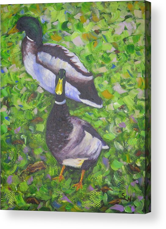 Art Acrylic Print featuring the painting Somerset Ducks by Shirley Wellstead