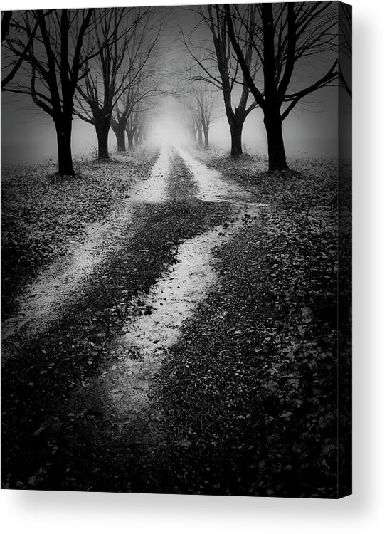 Spooky Acrylic Print featuring the photograph Spooky Way by Jeff Cooper