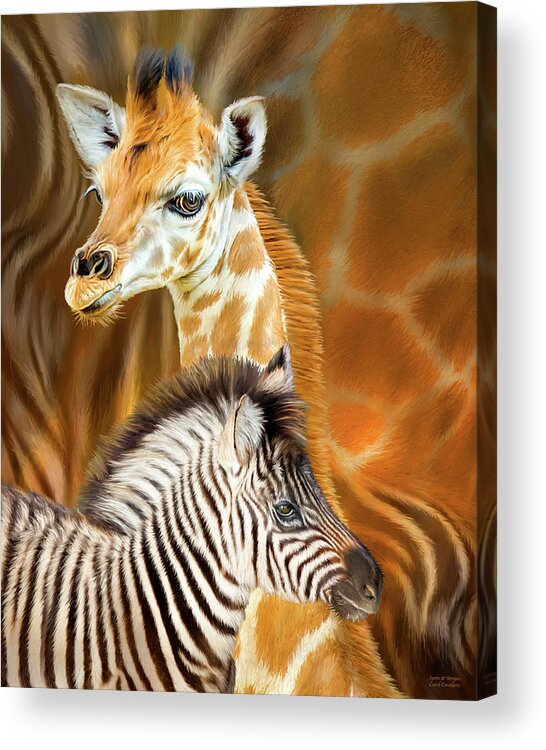Carol Cavalaris Acrylic Print featuring the mixed media Spots And Stripes - Giraffe And Zebra by Carol Cavalaris