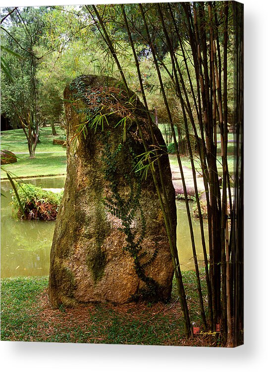 Standing Stone Acrylic Print featuring the photograph Standing Stone with Fern and Bamboo 19A by Gerry Gantt
