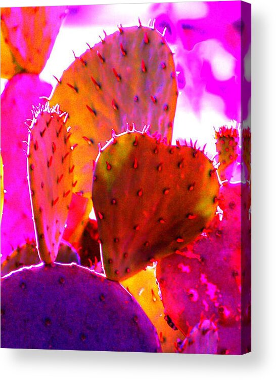 Cactus Acrylic Print featuring the photograph Stick with Love by Torri Bates