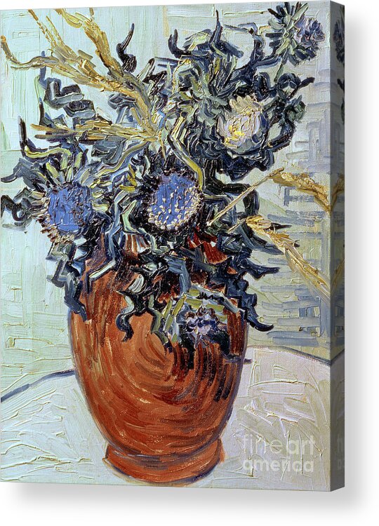 Still Life With Thistles Acrylic Print featuring the painting Still Life with Thistles by Vincent van Gogh