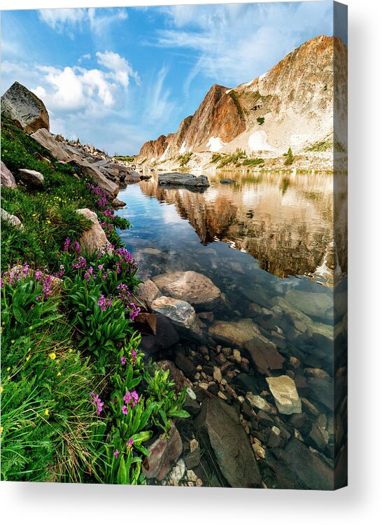 Summer Acrylic Print featuring the photograph Summer Blooms by David Soldano