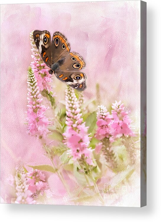 Butterfly Acrylic Print featuring the photograph Summer Daze by Betty LaRue