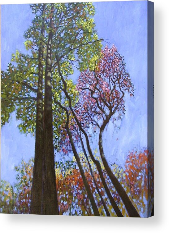 Fall Trees Highlighted By The Sun Acrylic Print featuring the painting Sunlight On Upper Branches by John Lautermilch