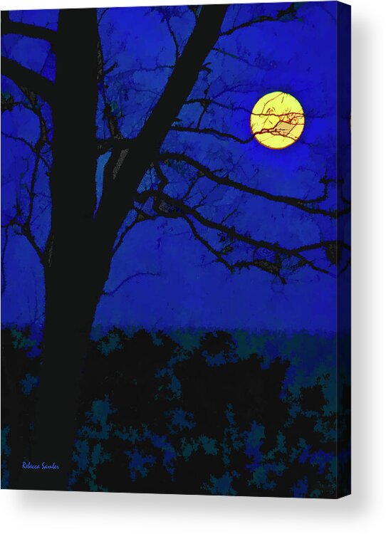 Moon Acrylic Print featuring the photograph Super Moon by Rebecca Samler
