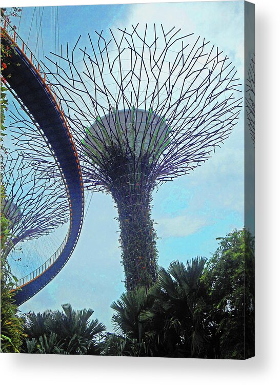 Gardens By The Bay Acrylic Print featuring the photograph Super Trees 17 by Ron Kandt