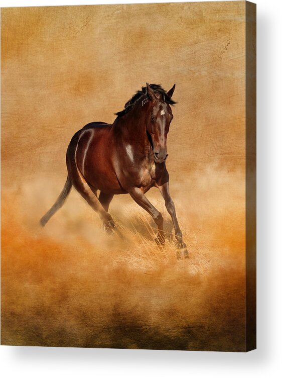 Horse Acrylic Print featuring the photograph Sweet Serenity by Michelle Wrighton