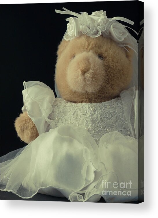 Bear Acrylic Print featuring the photograph Teddy Bear Bride by Edward Fielding