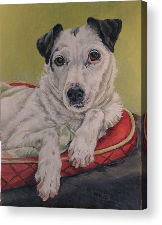 Dog Acrylic Print featuring the painting Tess by Cheryl Pass