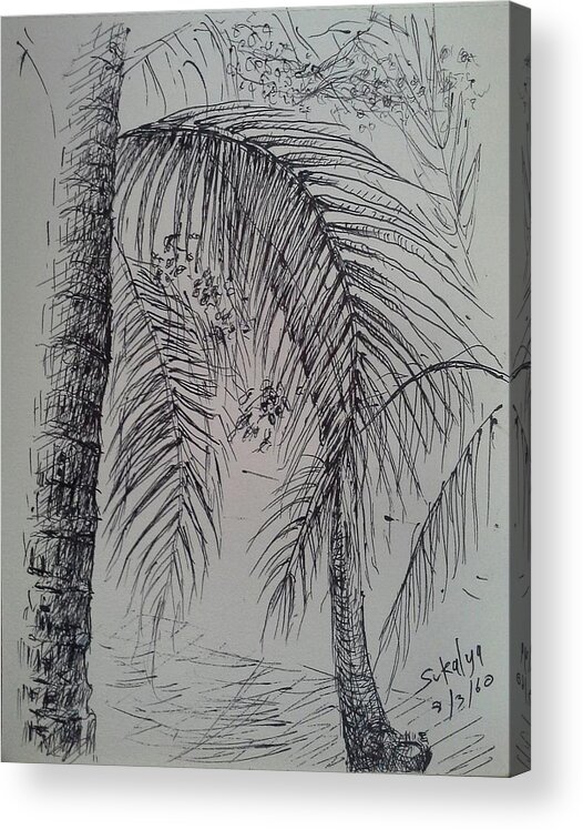 Coconut Acrylic Print featuring the drawing The Coconut Leafs by Sukalya Chearanantana