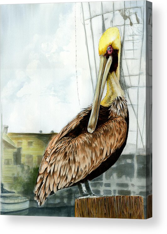Pelican Acrylic Print featuring the painting The Menace of Shem Creek by Thomas Hamm